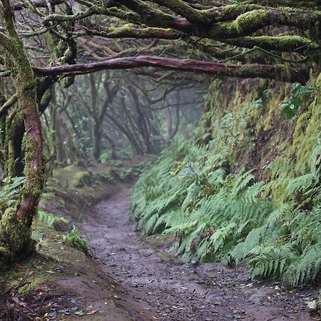 Casa Rural En El Parque Nacional De Garajonay En La Isla De La Gomera, Alonso Y Carmen Banda de Las Rosas المظهر الخارجي الصورة